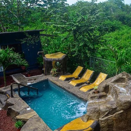 The Jungle Container Bed and Breakfast Quepos Εξωτερικό φωτογραφία