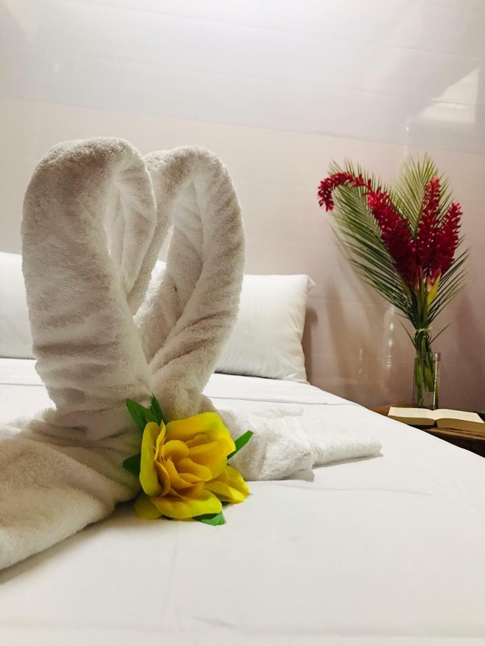 The Jungle Container Bed and Breakfast Quepos Εξωτερικό φωτογραφία